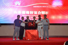启动仪式庆典
